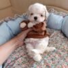 Emmie